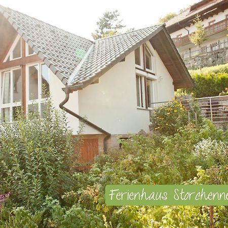 Ferienwohnung Storchennest Waldshut-Tiengen Exterior photo